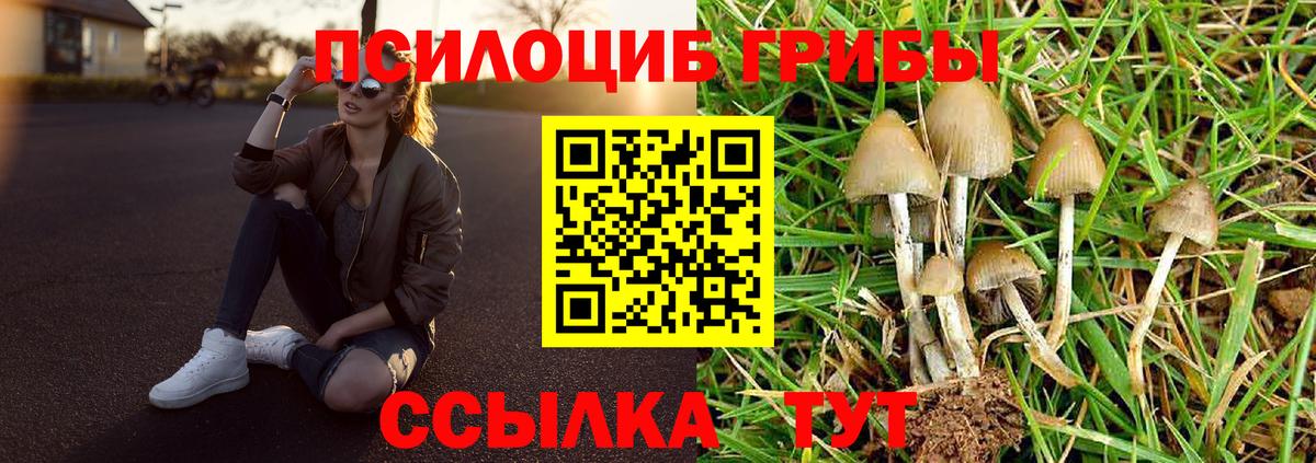 Волгодонск  Галлюциногенные грибы Magic Shrooms  купить наркотик  Вход с VPN  Псилоцибиновые грибы прущие грибы 