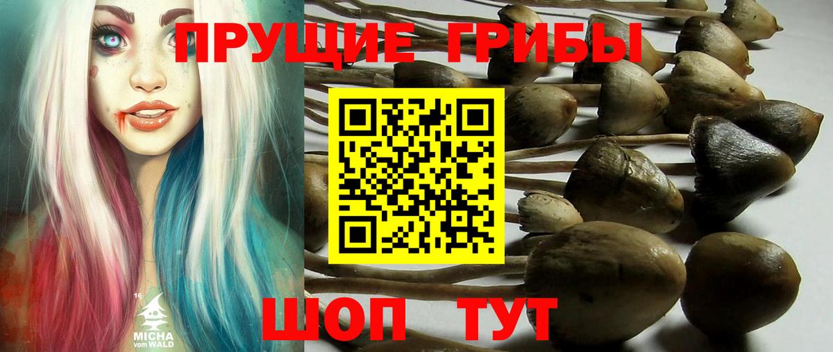 Галлюциногенные грибы мицелий Волгодонск